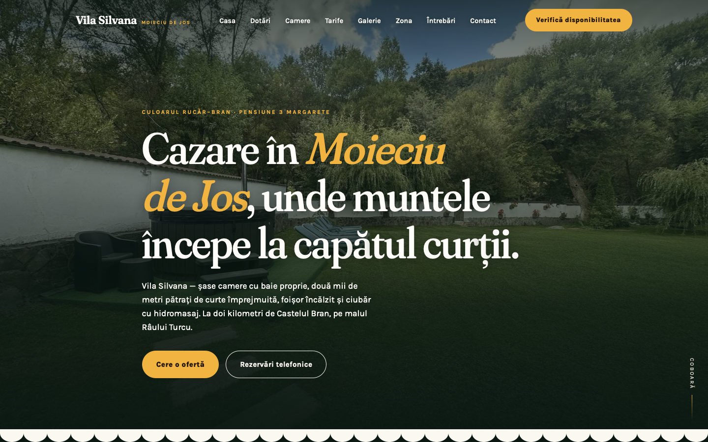 Previzualizare: prima pagină a site-ului Vila Silvana