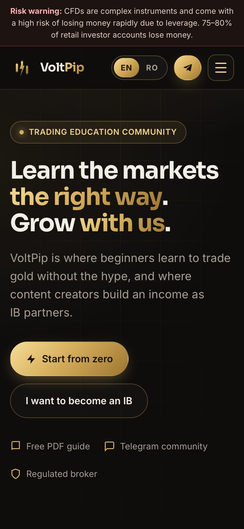 Previzualizare pe telefon: VoltPip